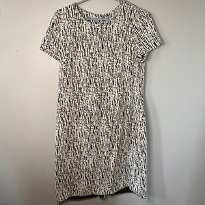 Size 12 Calvin Klein Dress